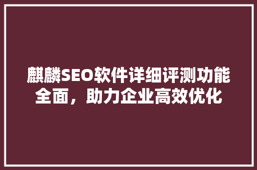 麒麟SEO软件详细评测功能全面，助力企业高效优化
