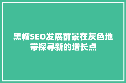 黑帽SEO发展前景在灰色地带探寻新的增长点