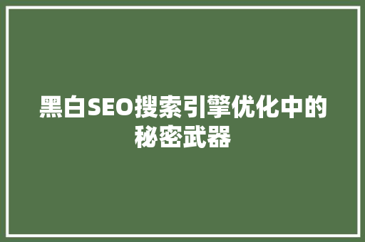 黑白SEO搜索引擎优化中的秘密武器