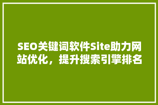 SEO关键词软件Site助力网站优化，提升搜索引擎排名