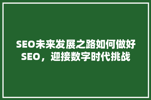 SEO未来发展之路如何做好SEO，迎接数字时代挑战