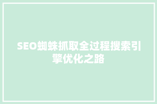 SEO蜘蛛抓取全过程搜索引擎优化之路