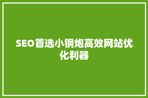SEO首选小钢炮高效网站优化利器