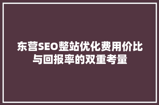 东营SEO整站优化费用价比与回报率的双重考量