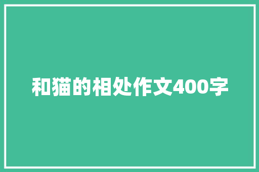 凌乱代码背后的编程艺术探寻代码之美