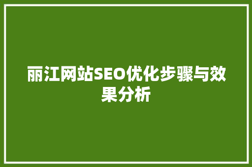 丽江网站SEO优化步骤与效果分析  第1张