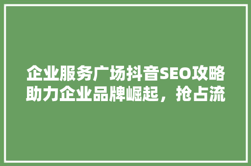 企业服务广场抖音SEO攻略助力企业品牌崛起，抢占流量高地