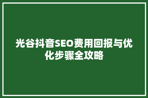 光谷抖音SEO费用回报与优化步骤全攻略
