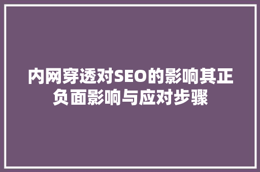 内网穿透对SEO的影响其正负面影响与应对步骤