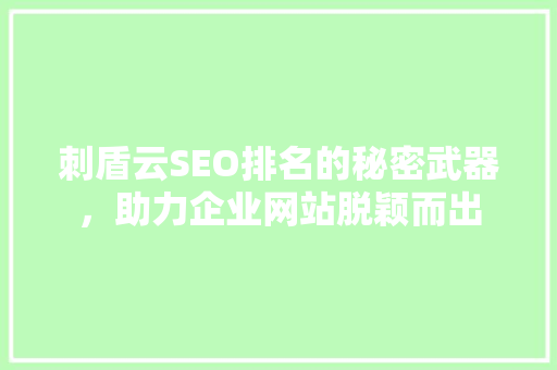 刺盾云SEO排名的秘密武器，助力企业网站脱颖而出  第1张