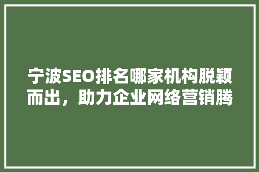 宁波SEO排名哪家机构脱颖而出，助力企业网络营销腾飞