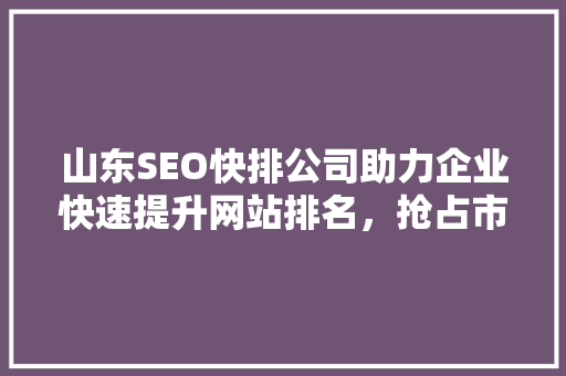 山东SEO快排公司助力企业快速提升网站排名，抢占市场先机