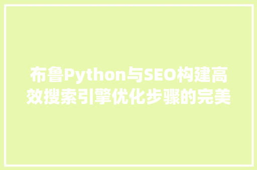 布鲁Python与SEO构建高效搜索引擎优化步骤的完美融合