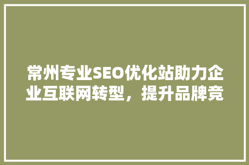 常州专业SEO优化站助力企业互联网转型，提升品牌竞争力