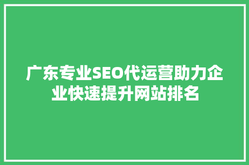 广东专业SEO代运营助力企业快速提升网站排名