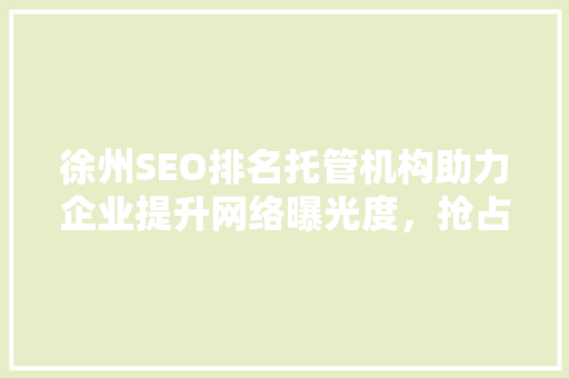 徐州SEO排名托管机构助力企业提升网络曝光度，抢占市场先机