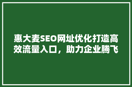惠大麦SEO网址优化打造高效流量入口，助力企业腾飞