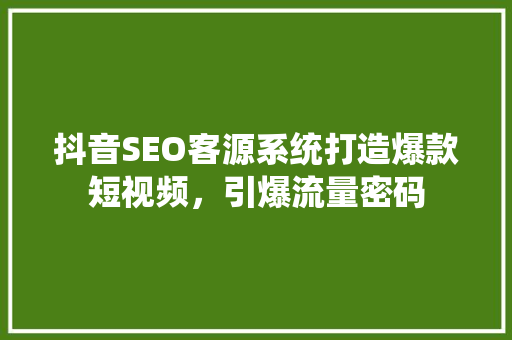 抖音SEO客源系统打造爆款短视频，引爆流量密码