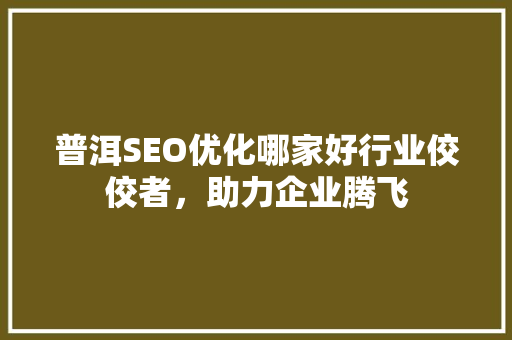 普洱SEO优化哪家好行业佼佼者，助力企业腾飞