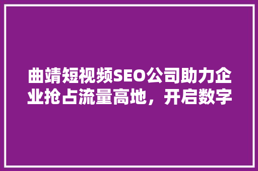 曲靖短视频SEO公司助力企业抢占流量高地，开启数字营销新篇章