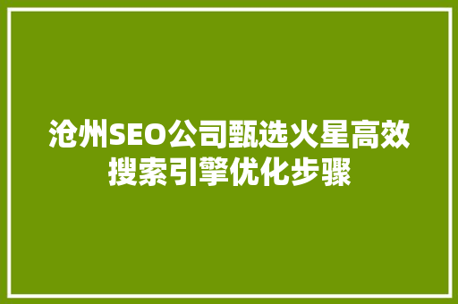 沧州SEO公司甄选火星高效搜索引擎优化步骤