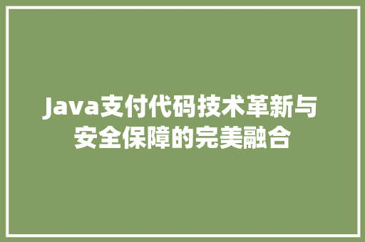 Java支付代码技术革新与安全保障的完美融合