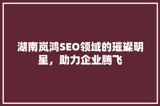 湖南岚鸿SEO领域的璀璨明星，助力企业腾飞