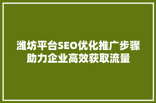潍坊平台SEO优化推广步骤助力企业高效获取流量