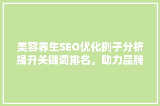 美容养生SEO优化例子分析提升关键词排名，助力品牌成长