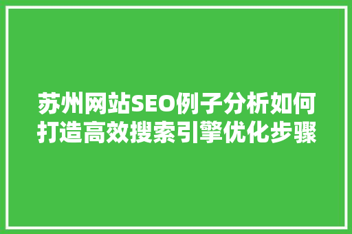 苏州网站SEO例子分析如何打造高效搜索引擎优化步骤