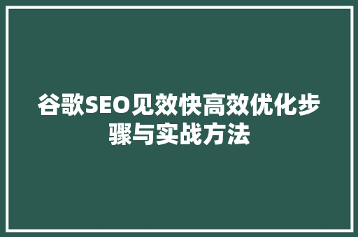 谷歌SEO见效快高效优化步骤与实战方法