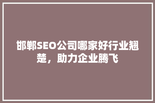 邯郸SEO公司哪家好行业翘楚，助力企业腾飞