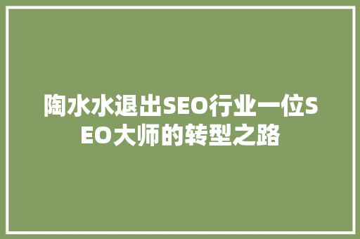 陶水水退出SEO行业一位SEO大师的转型之路