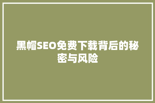 黑帽SEO免费下载背后的秘密与风险