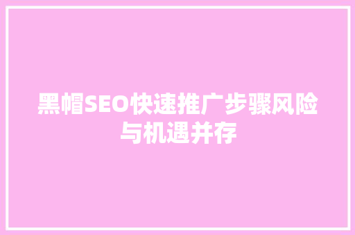 黑帽SEO快速推广步骤风险与机遇并存