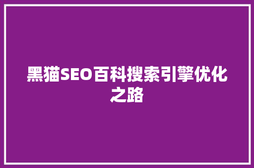 黑猫SEO百科搜索引擎优化之路
