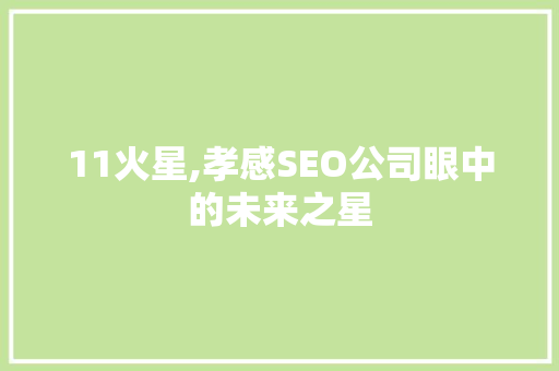 11火星,孝感SEO公司眼中的未来之星