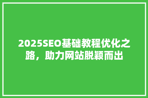2025SEO基础教程优化之路，助力网站脱颖而出