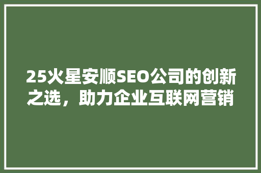 25火星安顺SEO公司的创新之选，助力企业互联网营销新突破