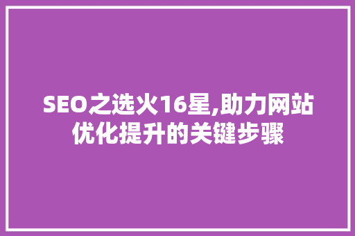 SEO之选火16星,助力网站优化提升的关键步骤