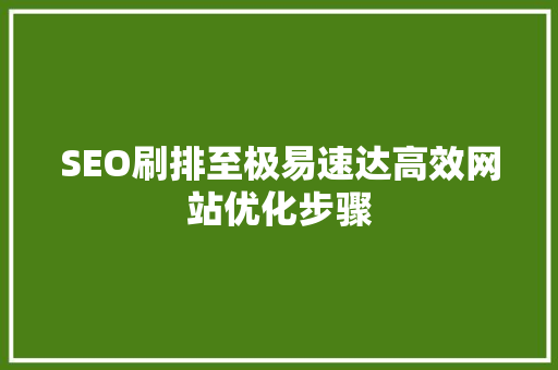 SEO刷排至极易速达高效网站优化步骤
