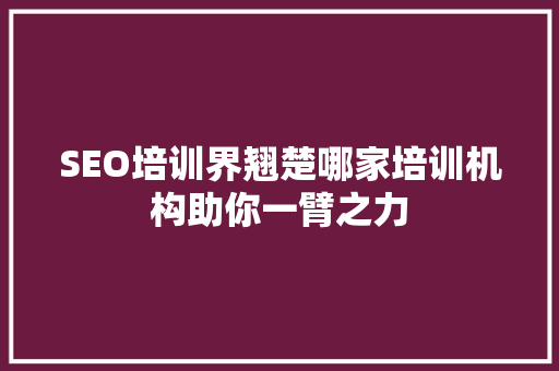 SEO培训界翘楚哪家培训机构助你一臂之力