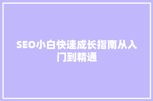 SEO小白快速成长指南从入门到精通