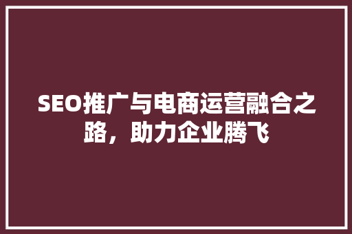 SEO推广与电商运营融合之路，助力企业腾飞
