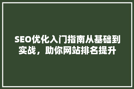 SEO优化入门指南从基础到实战，助你网站排名提升