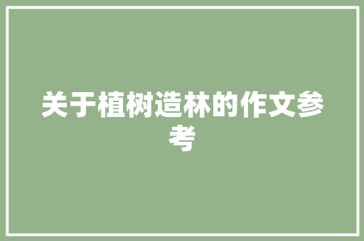C语言编程软件助力程序员探索编程之美