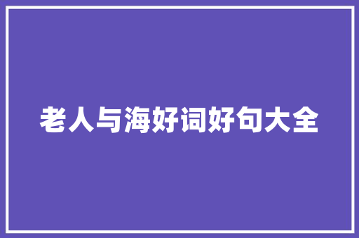 Flash动作代码的魅力回顾与展望