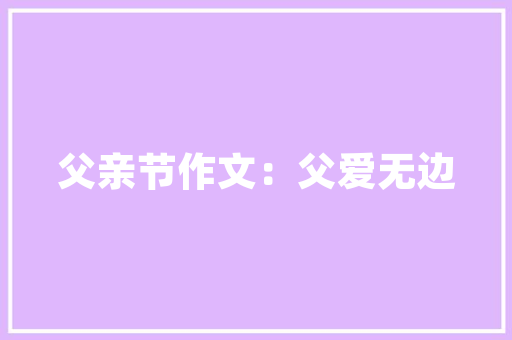 Flash特效代码技术之美与创意之魂
