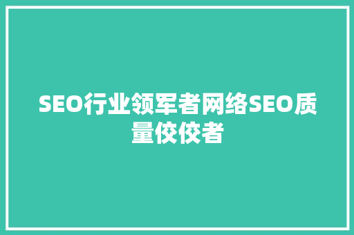SEO行业领军者网络SEO质量佼佼者