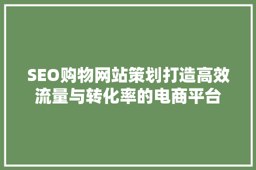 SEO购物网站策划打造高效流量与转化率的电商平台